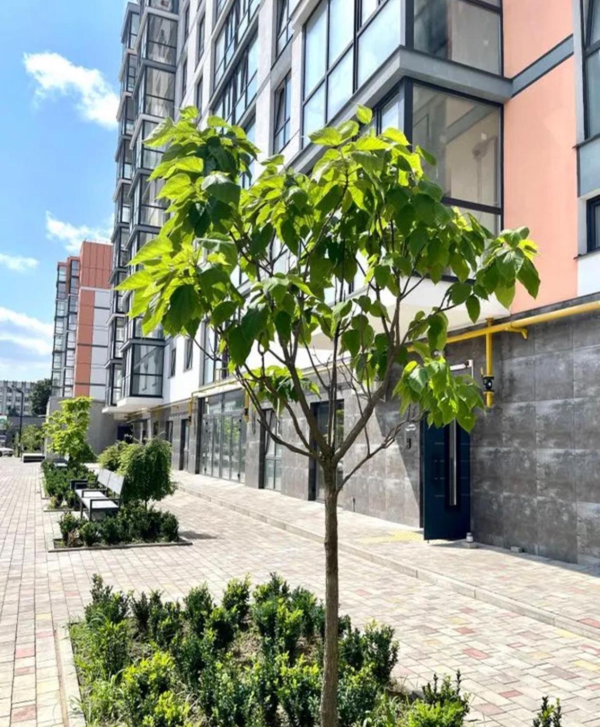 Квартира В Новому Жк Дрім Таун Lutsʼk Exterior foto